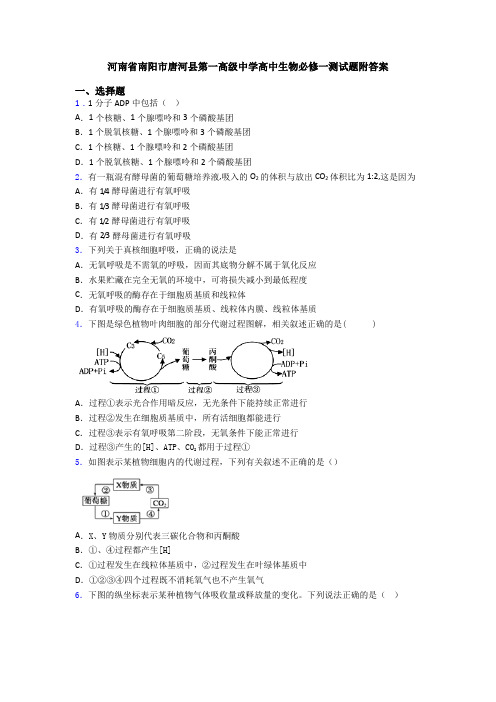 河南省南阳市唐河县第一高级中学高中生物必修一测试题附答案