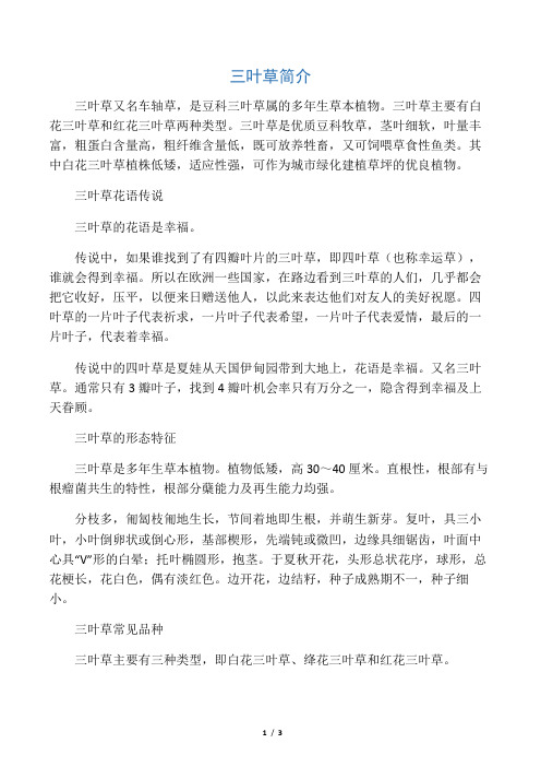 三叶草简介