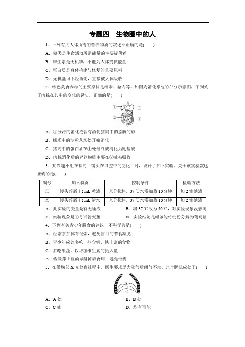 江西省2019中考生物复习检测：专题四 生物圈中的人