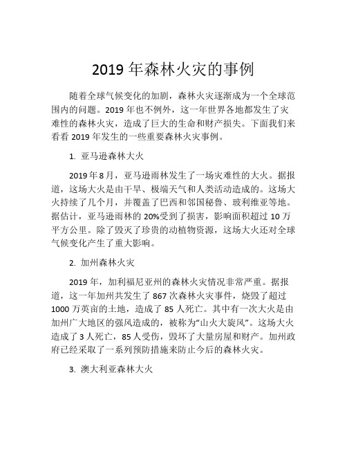 2019年森林火灾的事例