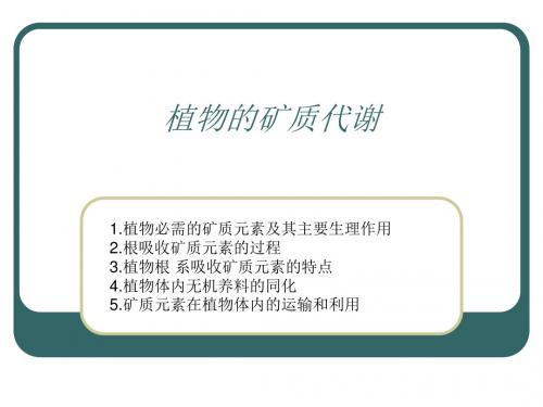 植物的矿质代谢