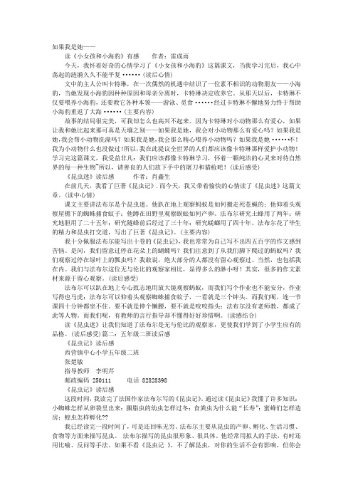 隧蜂读后感