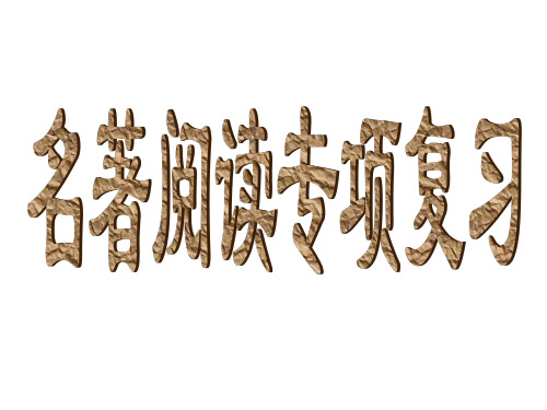 2019部编本初中语文中考复习--名著阅读专项练习 课件(共82张PPT)