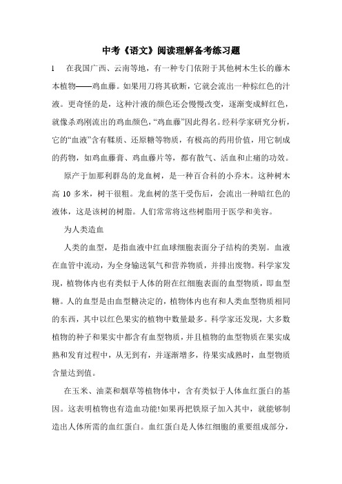 中考《语文》阅读理解备考练习题