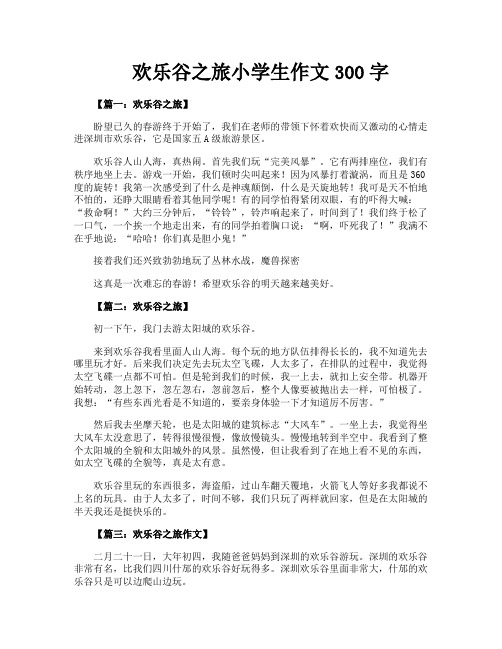 欢乐谷之旅小学生作文300字