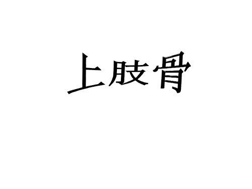 上肢骨