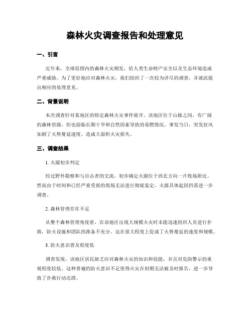 森林火灾调查报告和处理意见