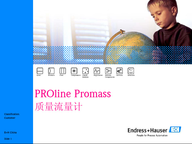 E+H质量流量计培训Promass