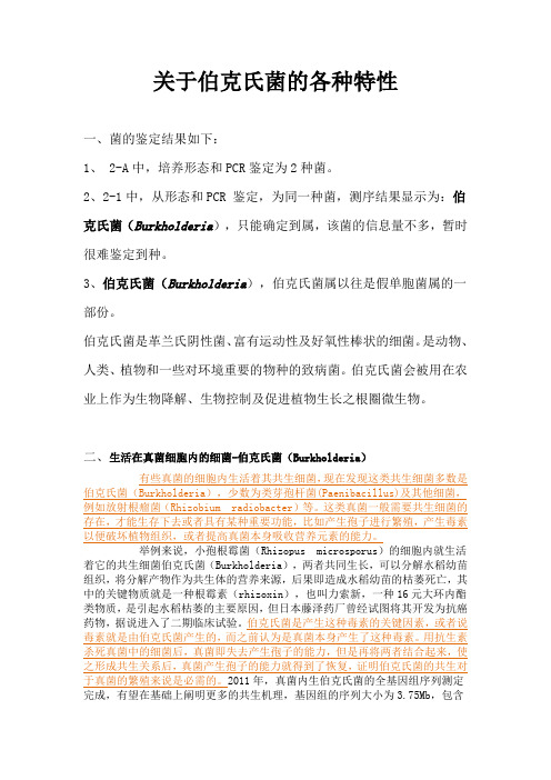 伯克氏菌特性(烂菇菌)