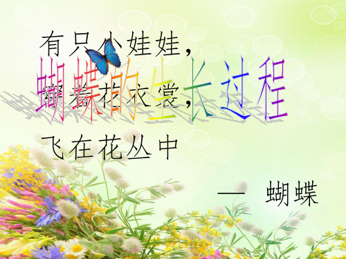 蝴蝶生长过程