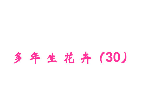 2宿根与球根花卉