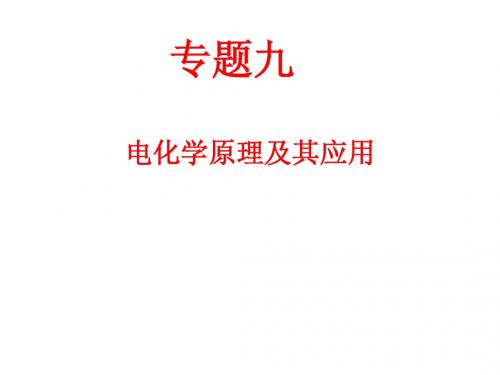 2013年高考化学专题课件：专题九 电化学原理及其应用课件