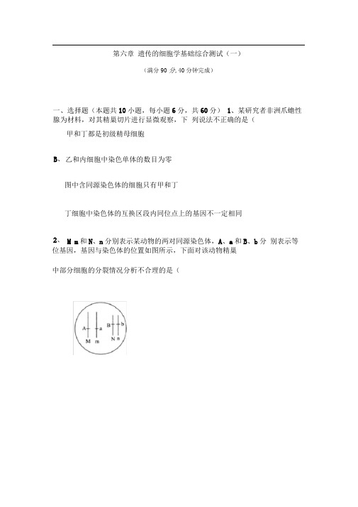高中生物-必修一第六章综合测试