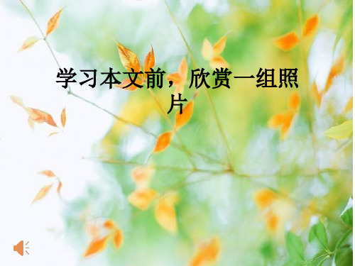 人教版高中语文必修五第3课《边城》教学同步课件(48张PPT)