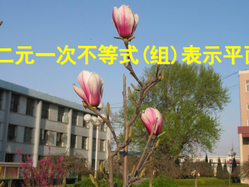 人教版高中数学第三章1二元一次不等式(组)表示平面区域教育课件