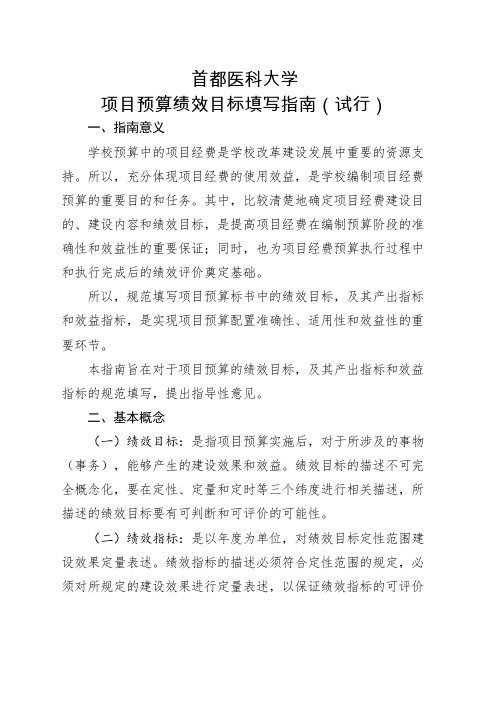 项目预算绩效目标填写指南试行