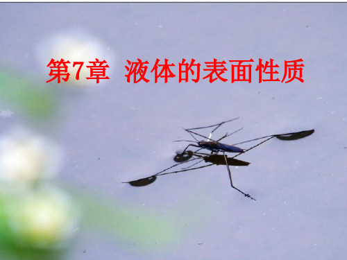 第七章表面现象