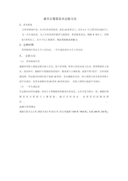 康贝尔葡萄苗木定植方法