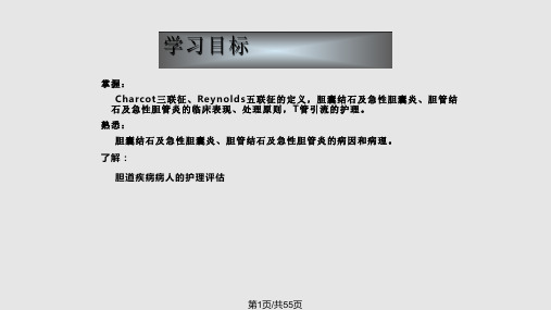 胆道疾病病人的护理外科护理学PPT课件
