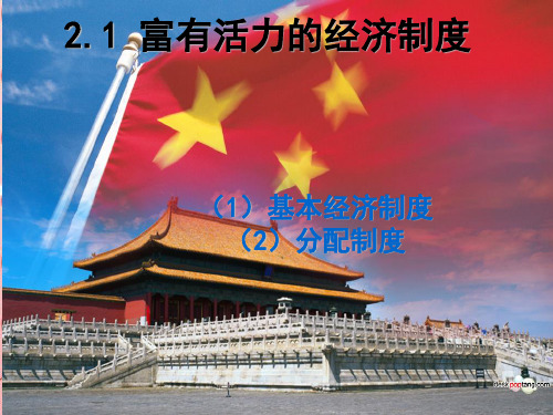 富有活力的经济制度PPT课件8