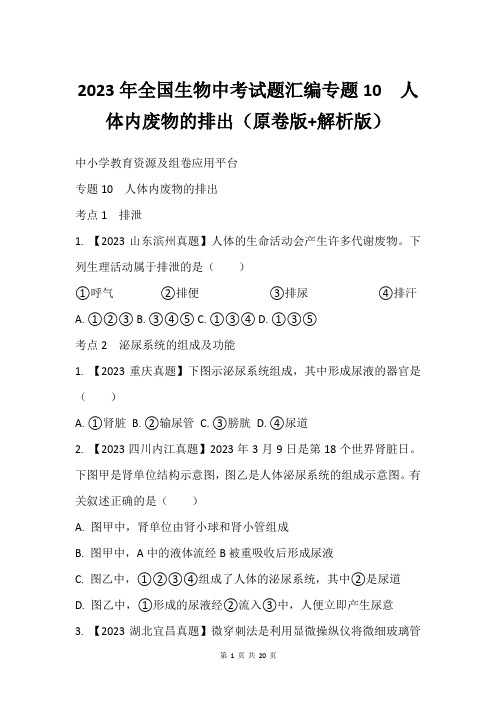 2023年全国生物中考试题汇编专题10  人体内废物的排出原卷版+解析版
