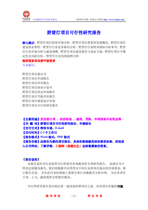 野营灯项目可行性研究报告