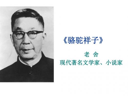 人教部编版七年级语文下册课件：第三单元 名著导读《骆驼祥子》 (共13张PPT)