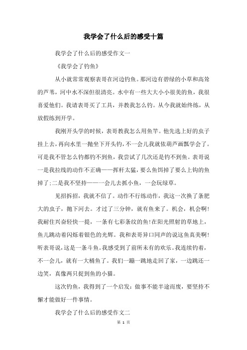 我学会了什么后的感受十篇