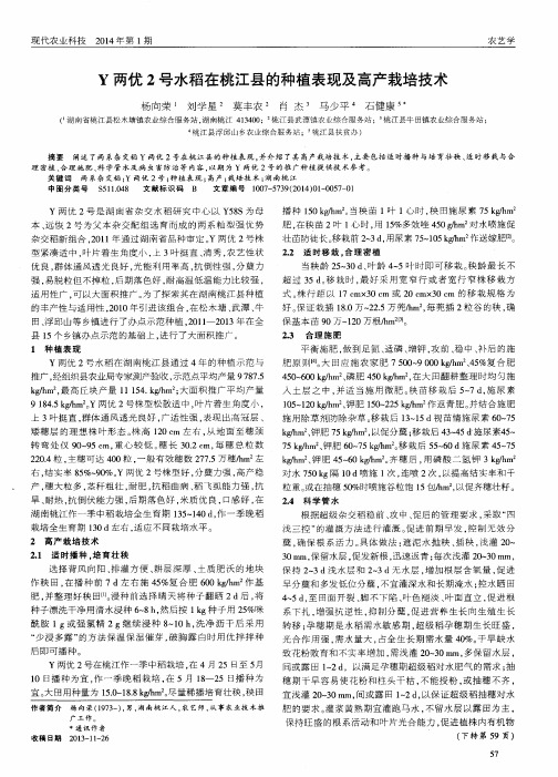 Y两优2号水稻在桃江县的种植表现及高产栽培技术