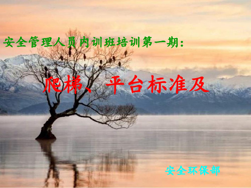 爬梯平台标准及安全管理规范钢梯角度 安全规范