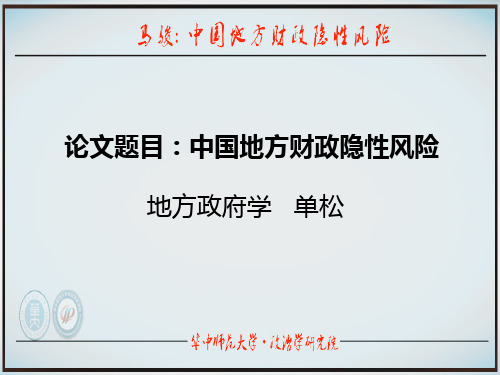 地方隐性债务分析 ppt课件