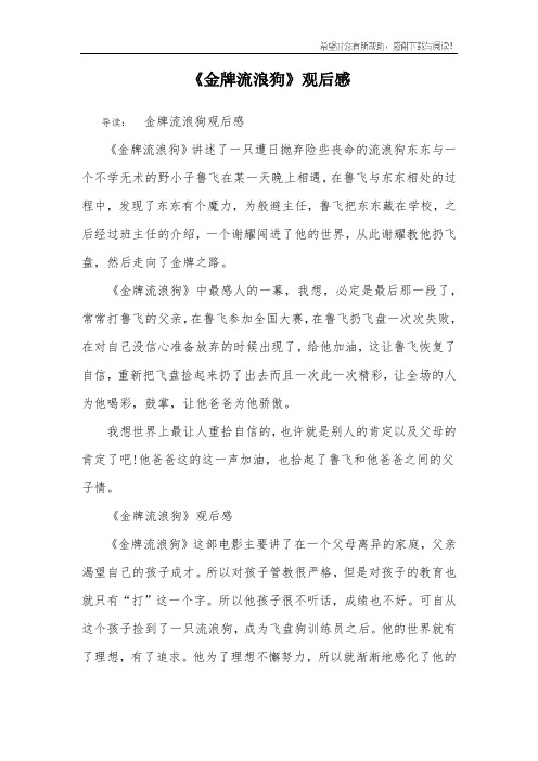 《金牌流浪狗》观后感