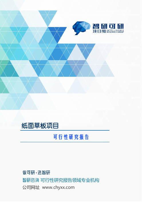 纸面草板项目可行性研究报告