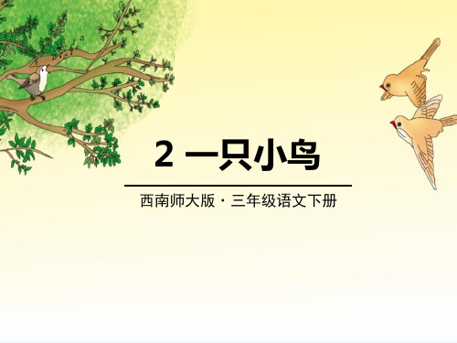 《一只小鸟》课件PPT