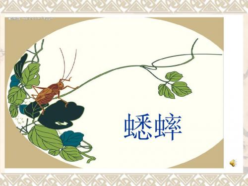蟋蟀