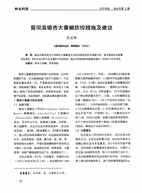 留坝县银杏大蚕蛾防控措施及建议