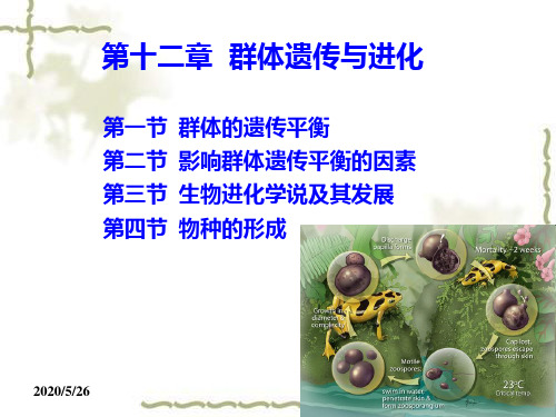 第十二章  群体遗传与进化 (共70张PPT)
