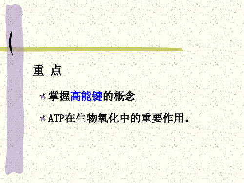 新陈代谢总论共38页