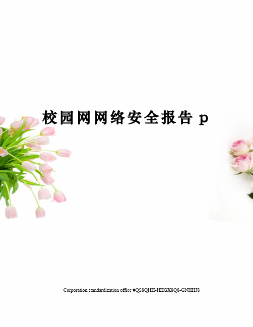 校园网网络安全报告p