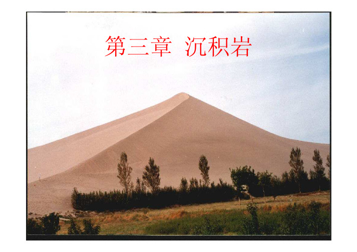 综合地质课件——沉积岩