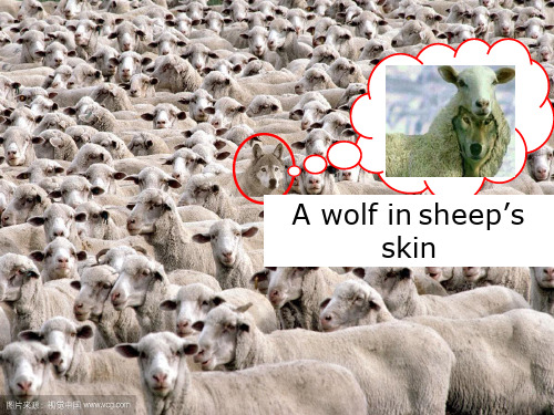 初中英语《The donkey in the lion's skin》教学课件设计