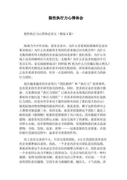 狼性执行力心得体会