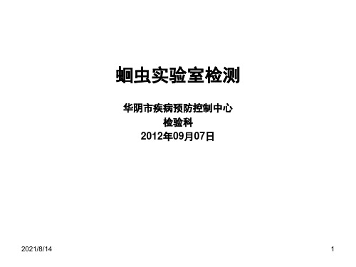 蛔虫实验室检测(1)