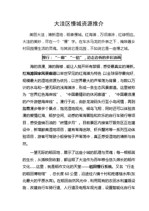 慢行、慢活、慢食——大洼全域旅游推介