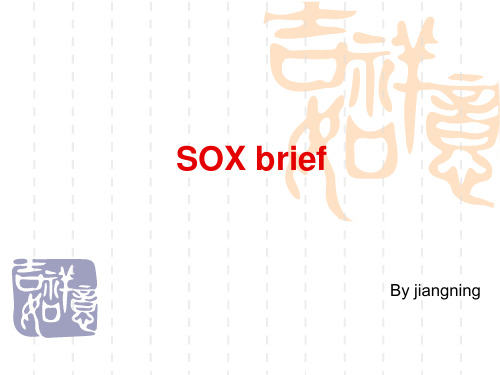 SOX 塞班斯法案