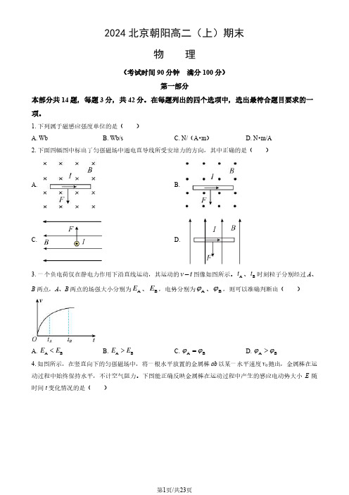 2023-2024学年北京朝阳高二(上)期末物理(教师版)