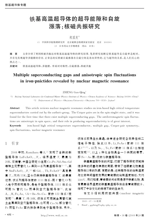 铁基高温超导体的超导能隙和自旋涨落：核磁共振研究