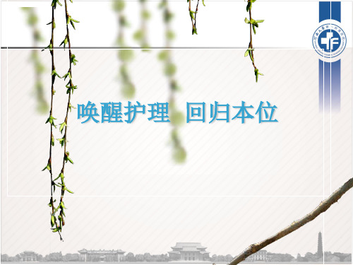 唤醒护理体会ppt