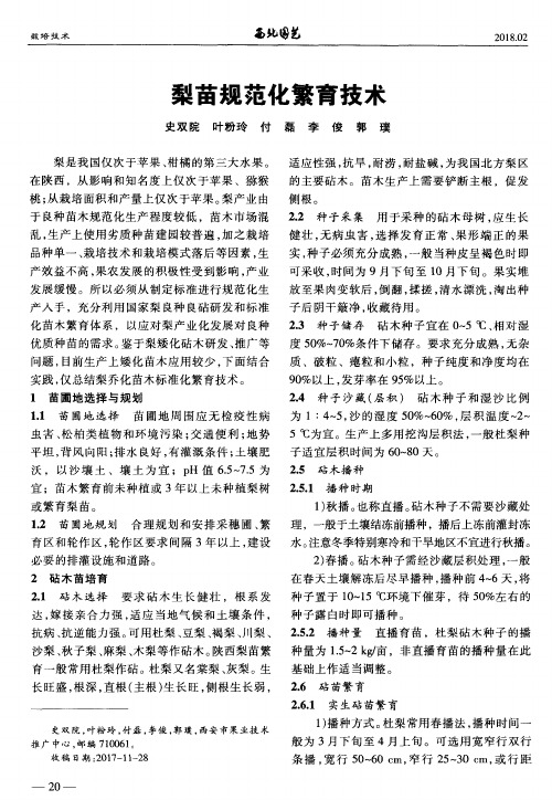 梨苗规范化繁育技术