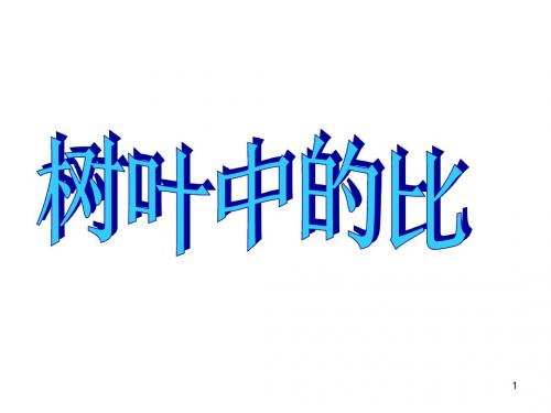 六年级上册数学课件-3 树叶中的比｜苏教版(2014秋) (共33张PPT)